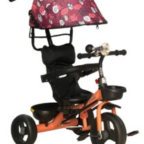 photo_2025-09-19_12-34-59