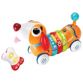 winfun-rc-rainbow-pup-game