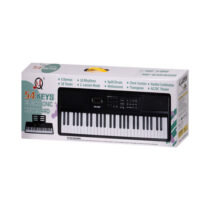 0033867_orgue-electrique_550